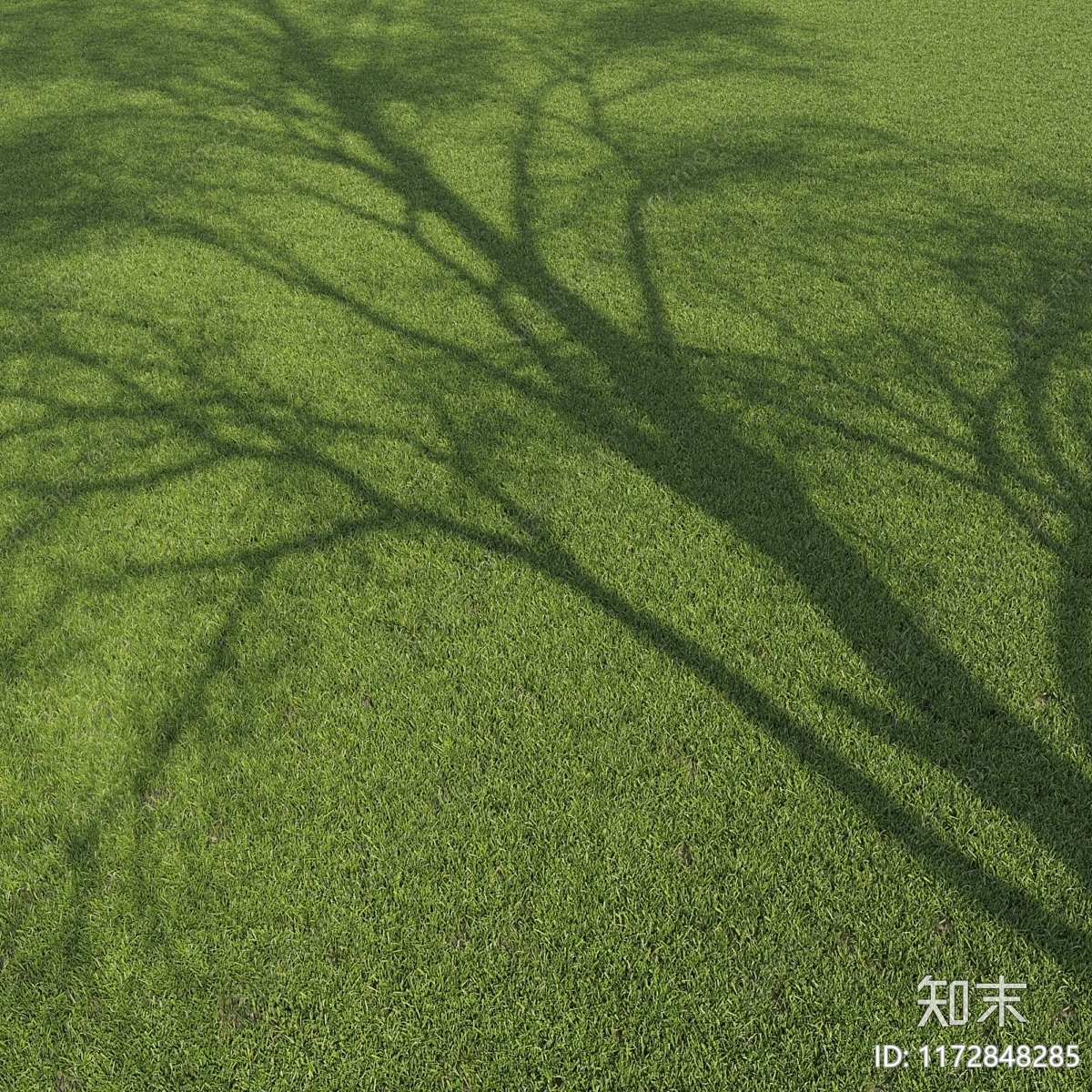 草3D模型下载【ID:1172848285】