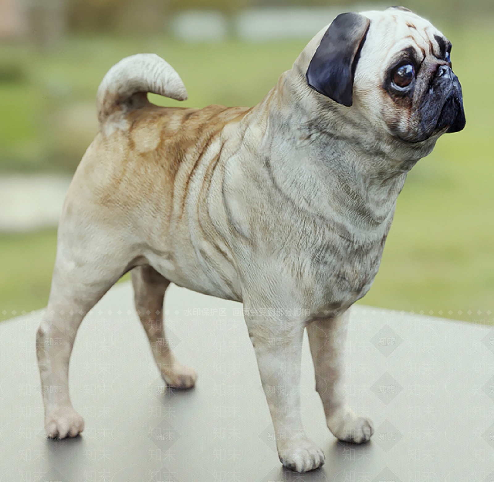 狗3D模型下载【ID:1172935365】