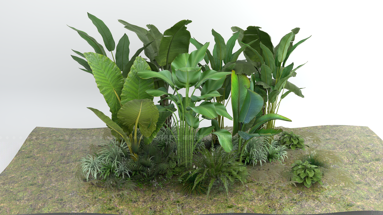 花草组合3D模型下载【ID:1172882459】