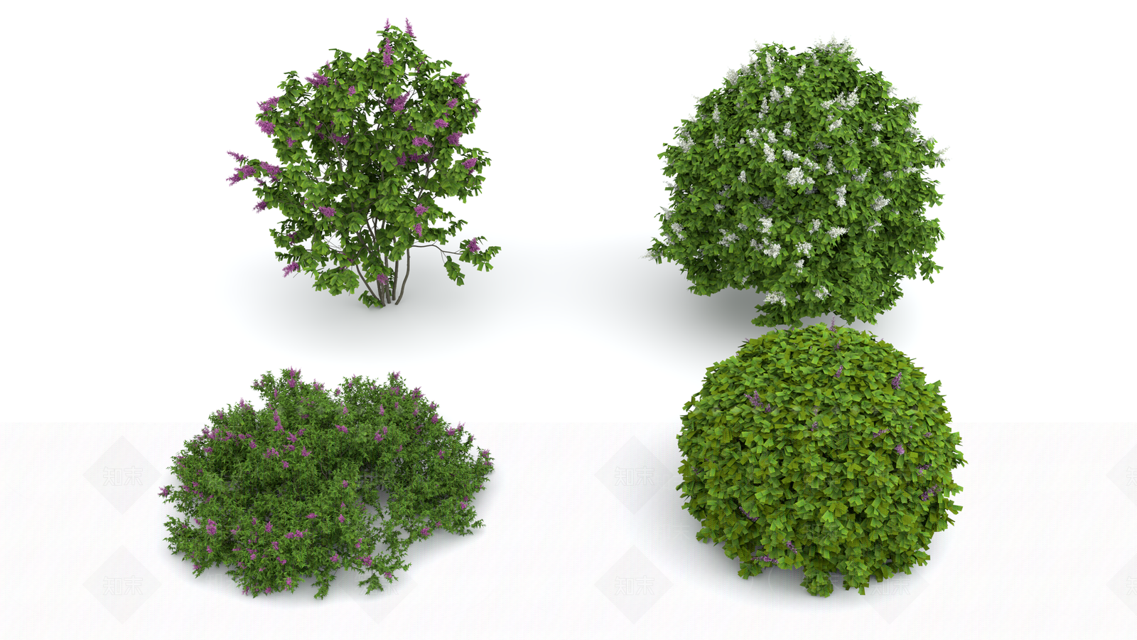 景观树3D模型下载【ID:1172883146】