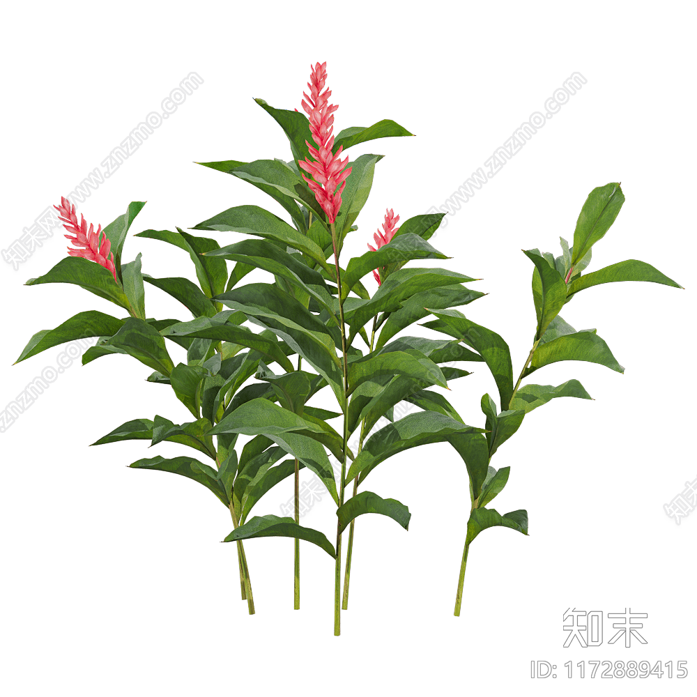 花草组合3D模型下载【ID:1172889415】