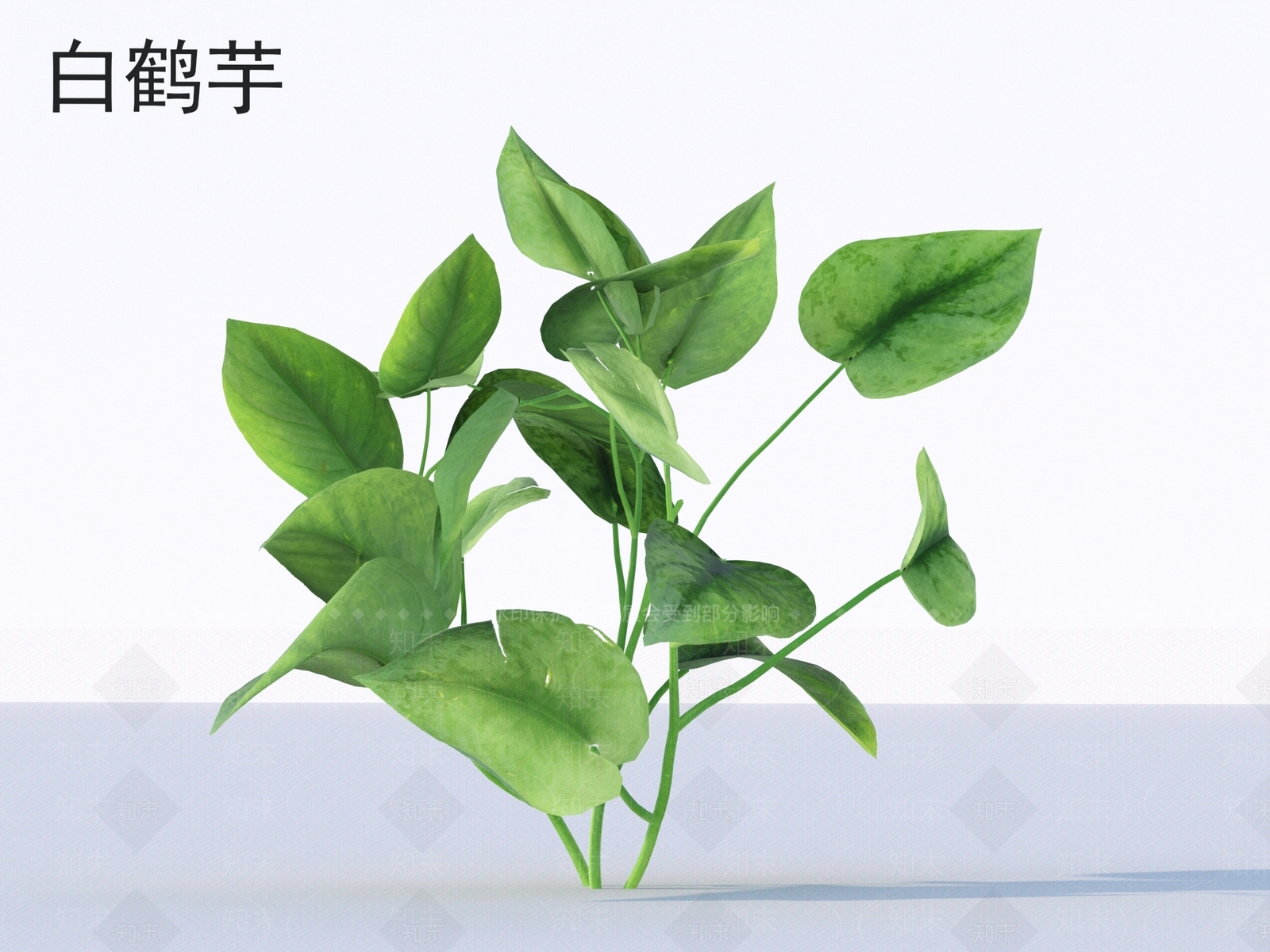 草3D模型下载【ID:1172945029】