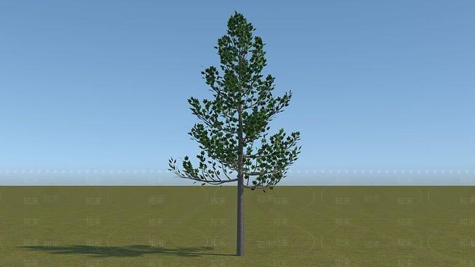 景观树3D模型下载【ID:1173010496】