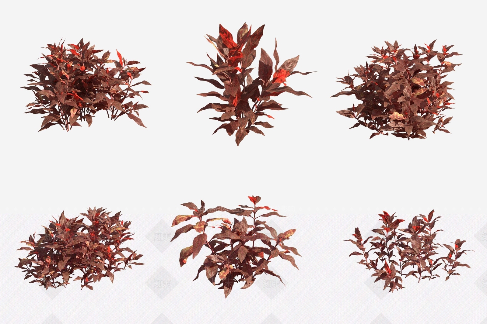 花草组合3D模型下载【ID:1173017251】