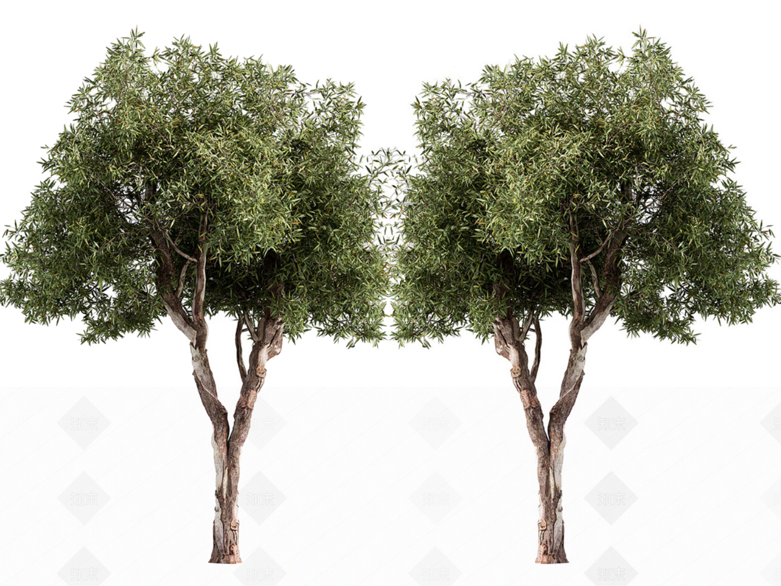景观树3D模型下载【ID:1173032200】