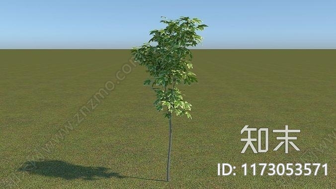 花3D模型下载【ID:1173053571】