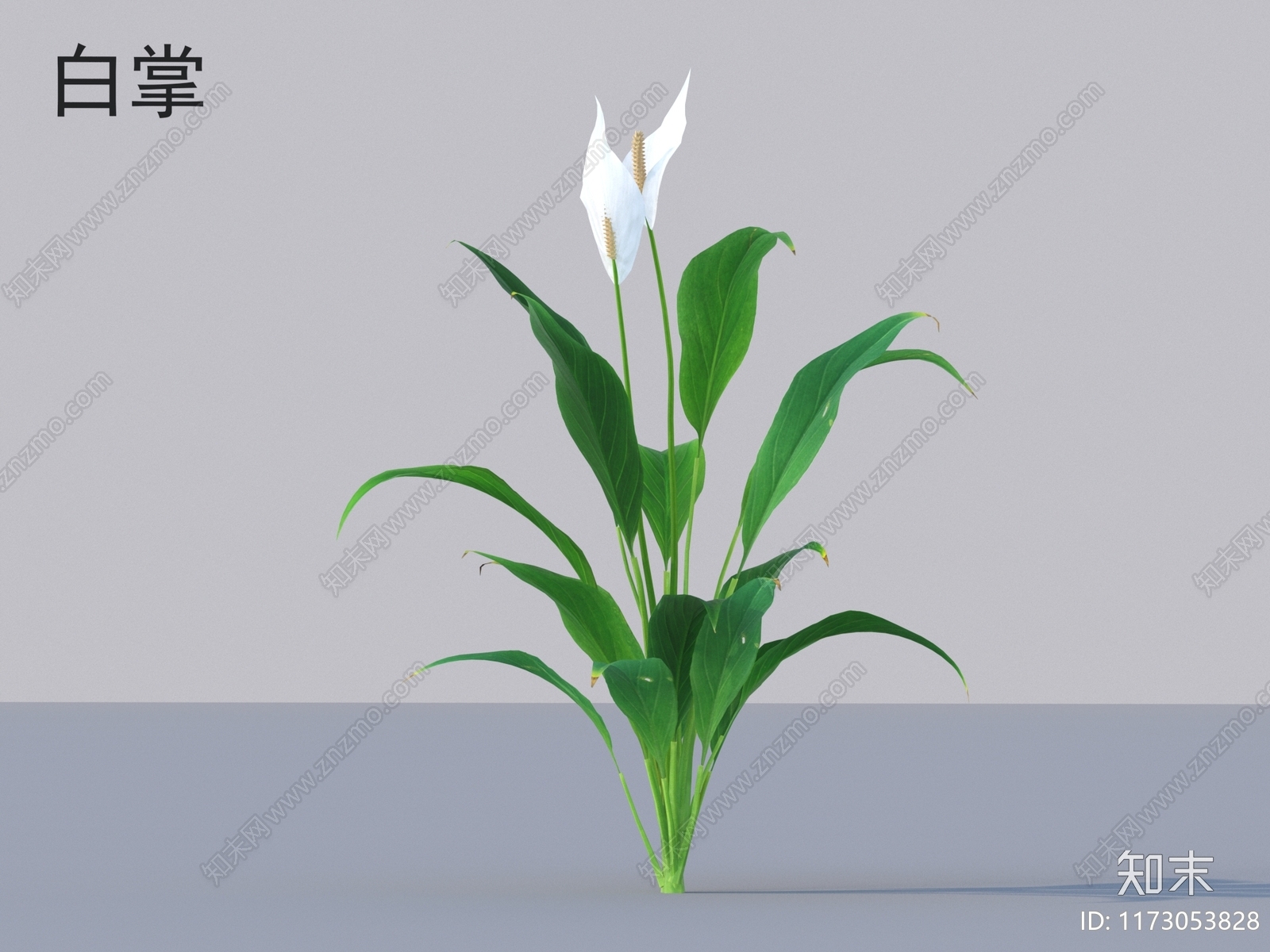 草3D模型下载【ID:1173053828】