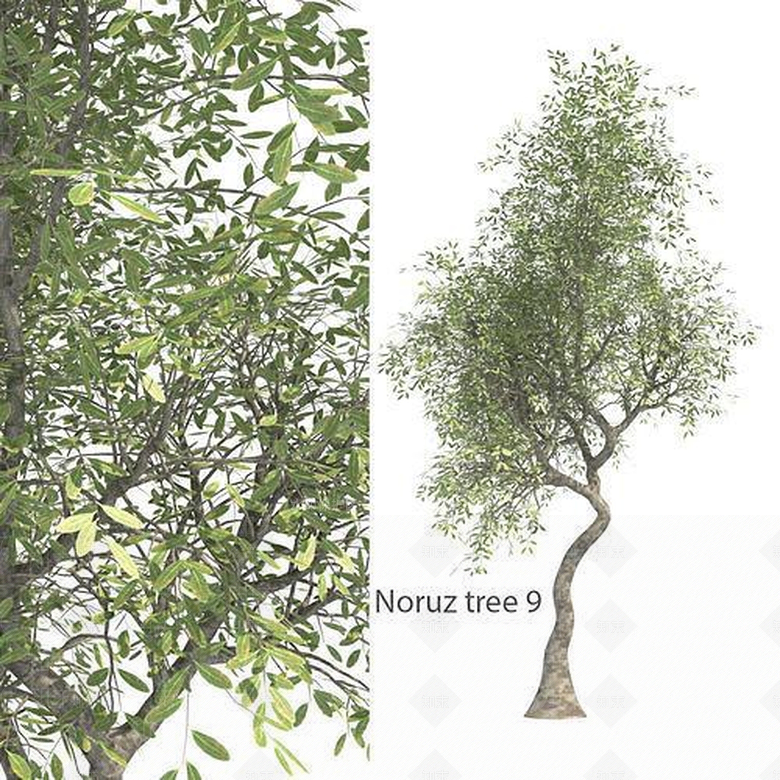 花3D模型下载【ID:1173055874】