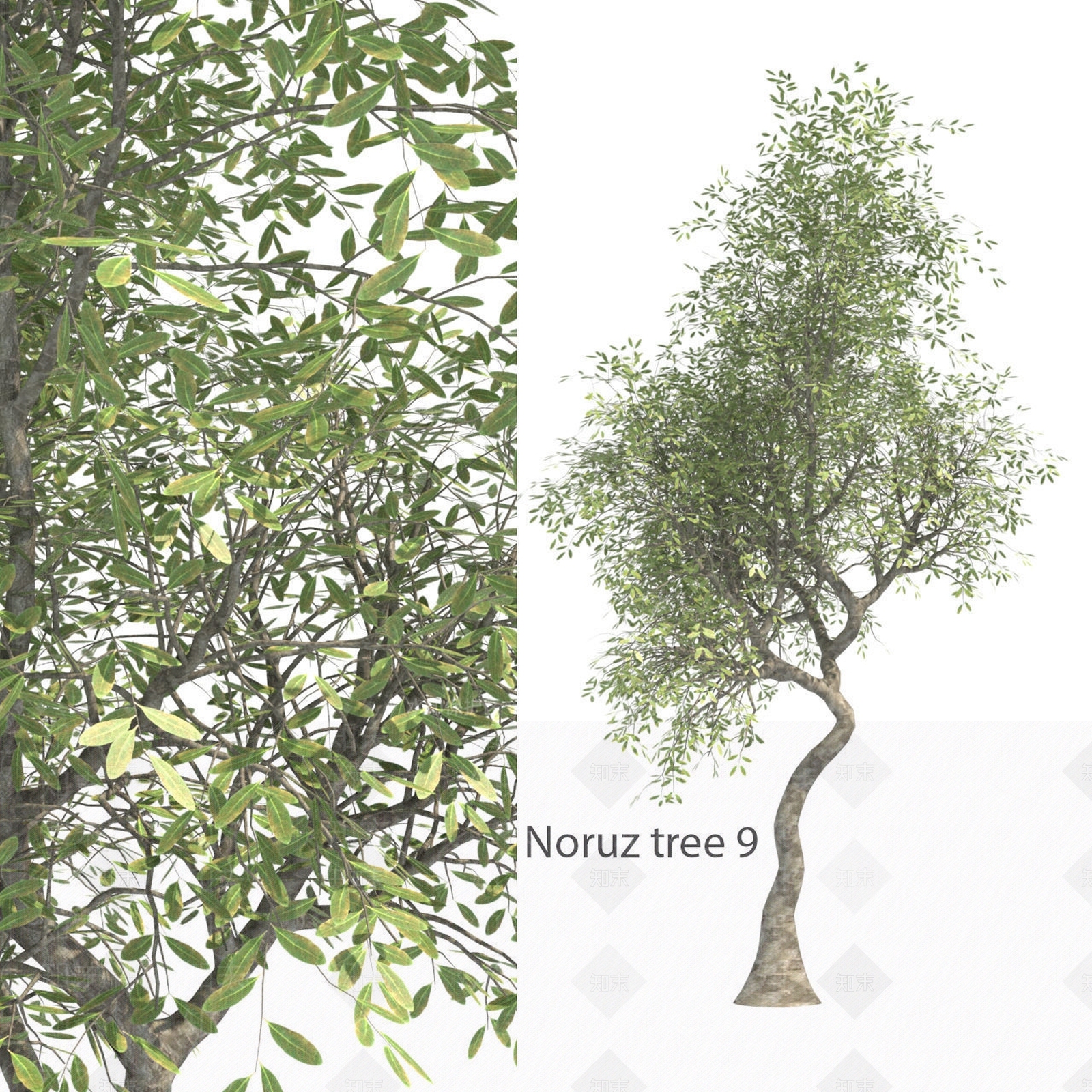 花3D模型下载【ID:1173055874】