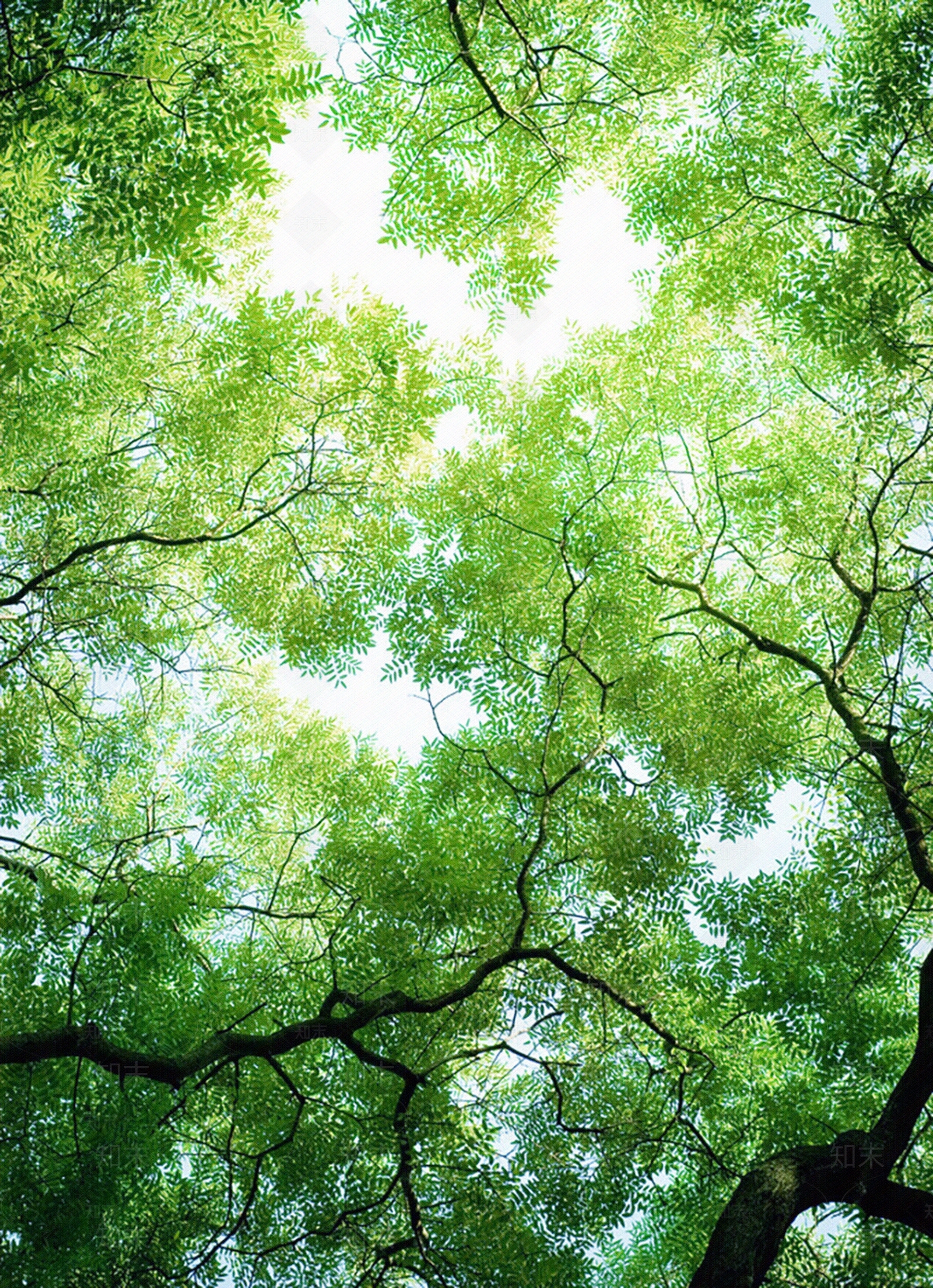 现代天空外景贴图下载【ID:1173061940】