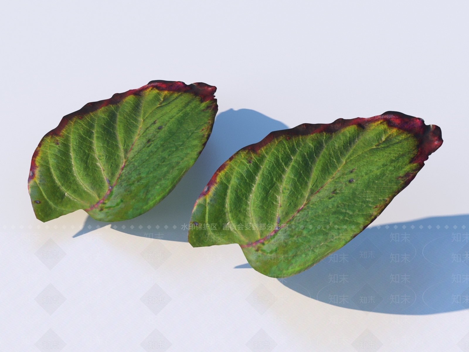 其他树木3D模型下载【ID:1173167164】