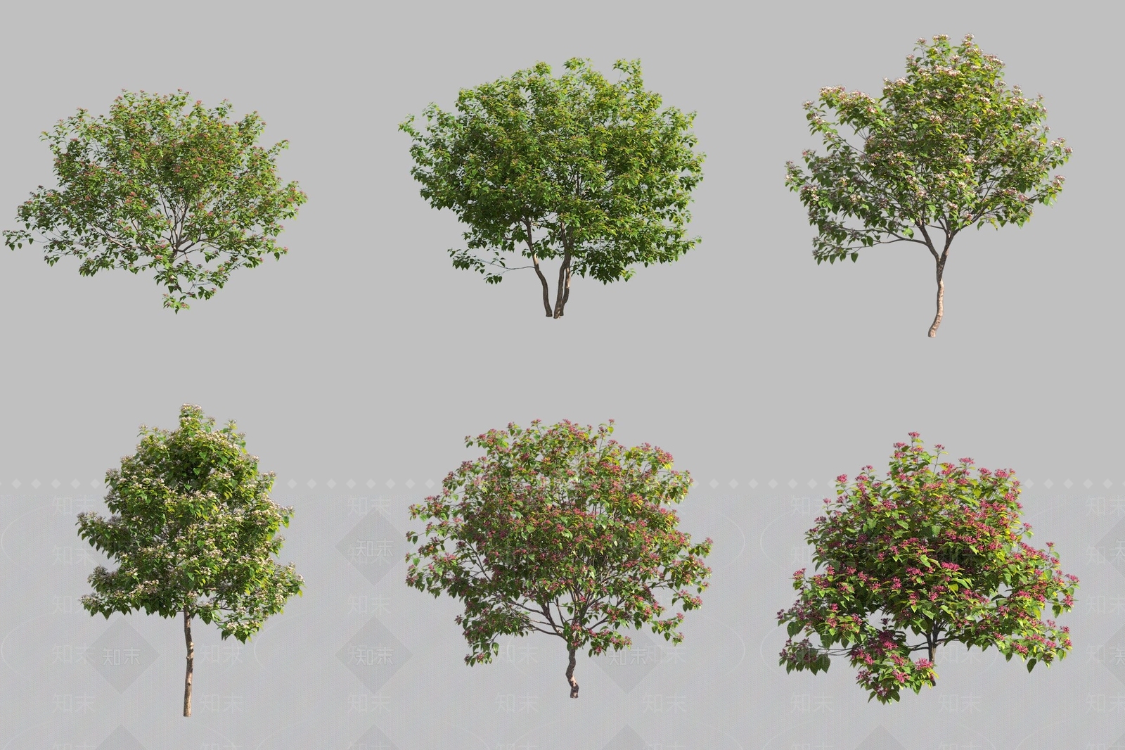 景观树3D模型下载【ID:1173171705】