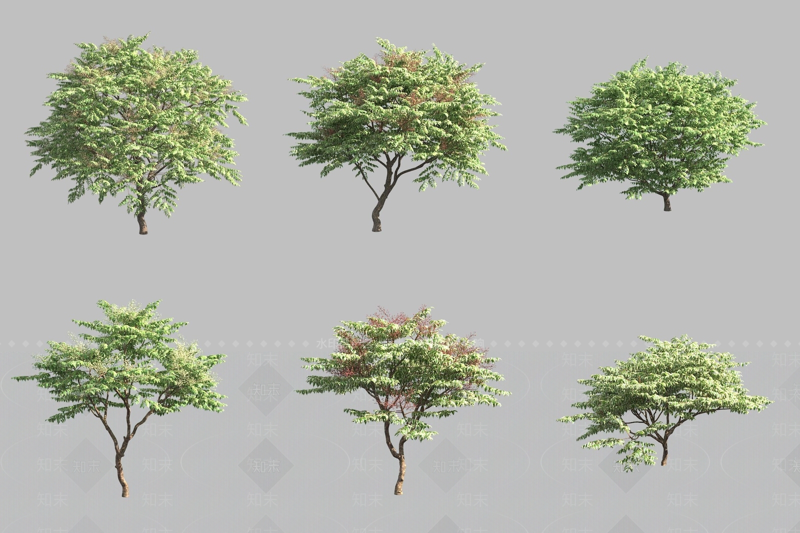 景观树3D模型下载【ID:1173172156】