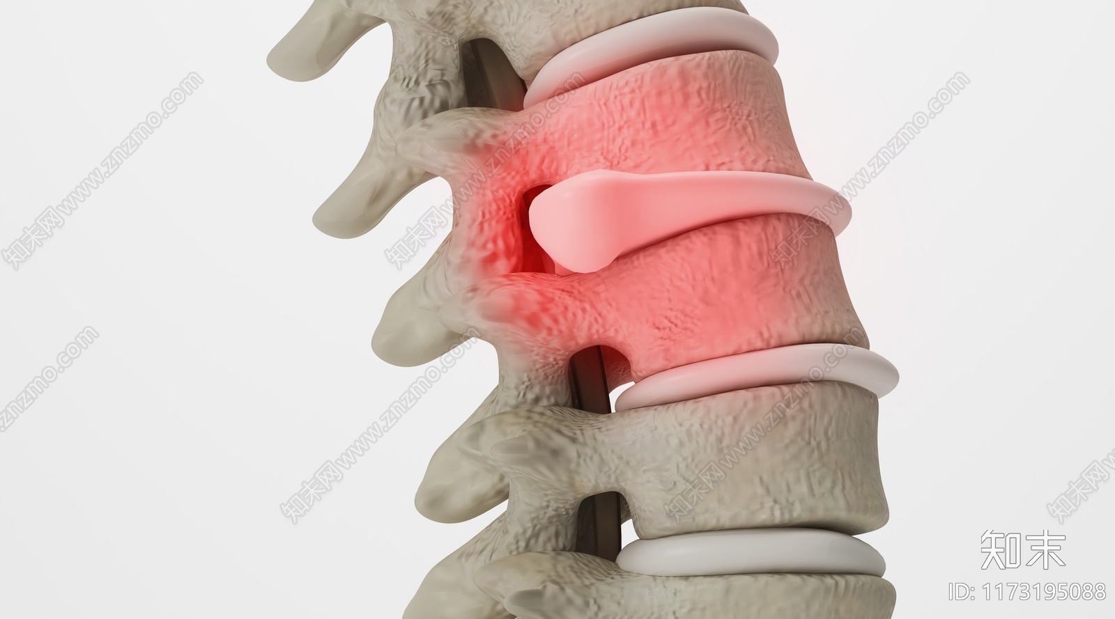 虚拟人物3D模型下载【ID:1173195088】