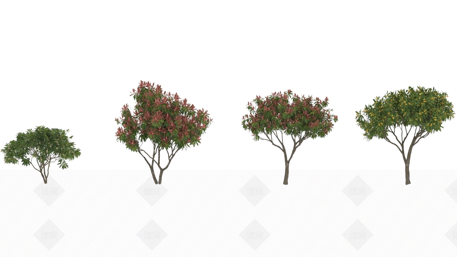 景观树3D模型下载【ID:1173207176】