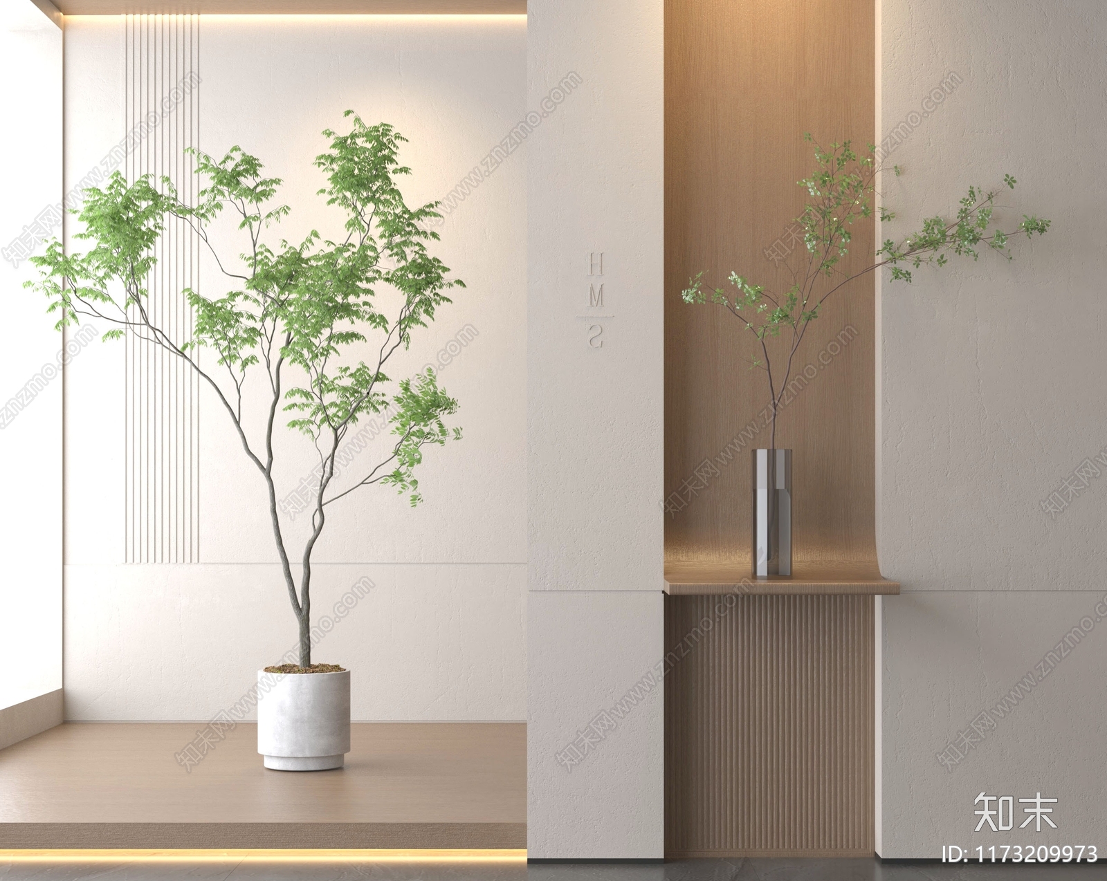 水生植物3D模型下载【ID:1173209973】