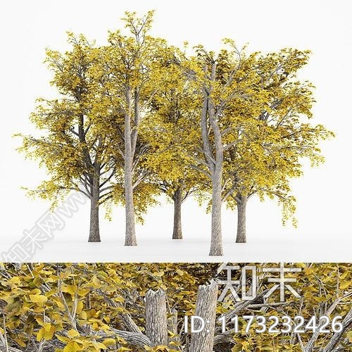 花3D模型下载【ID:1173232426】