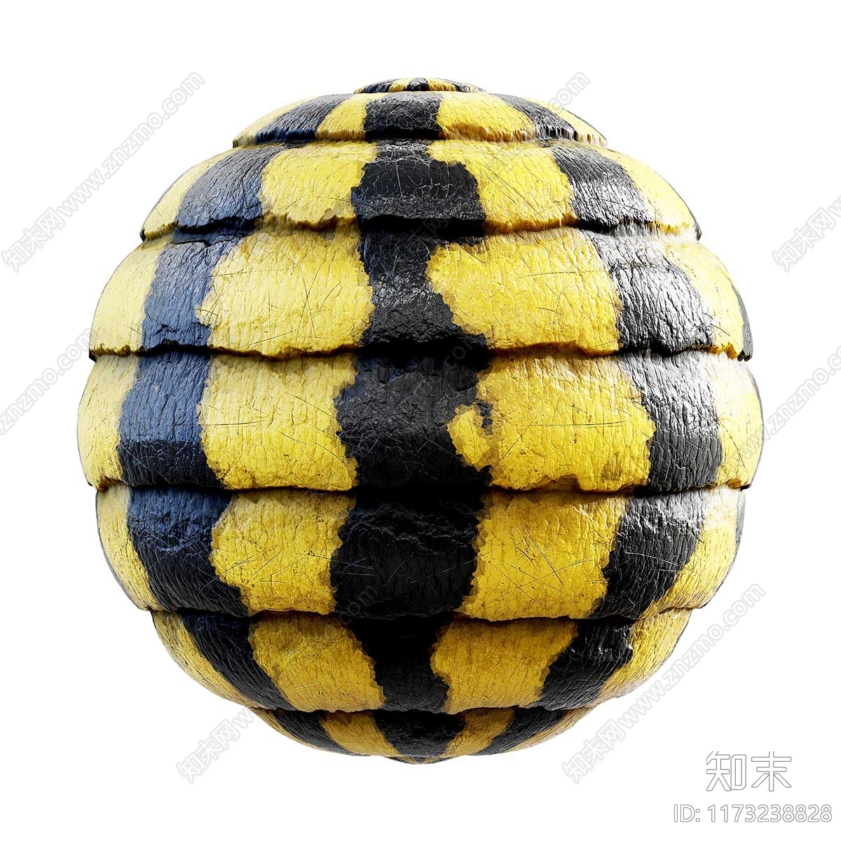 昆虫壳下载【ID:1173238828】