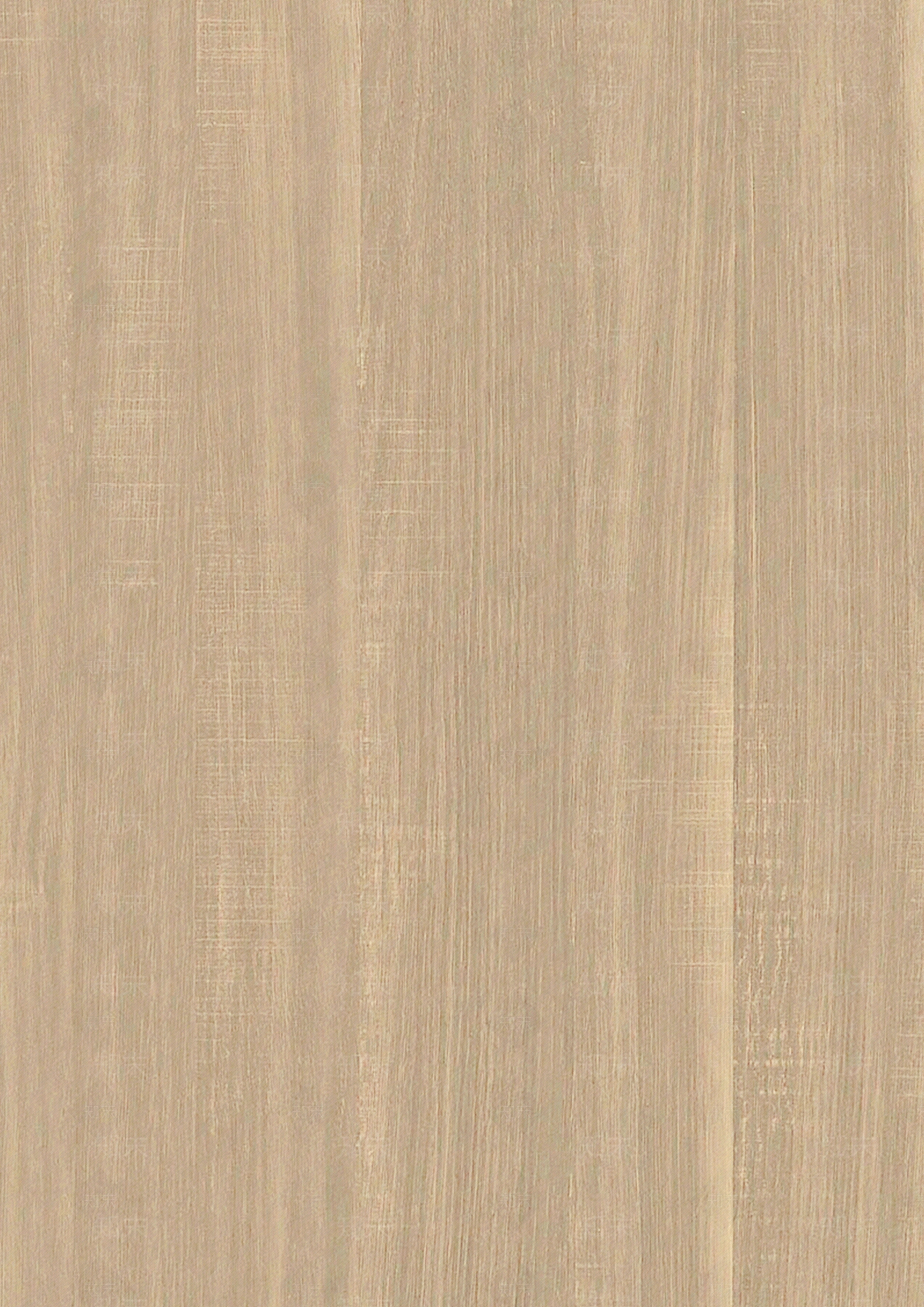 浅色木纹高清贴图材质