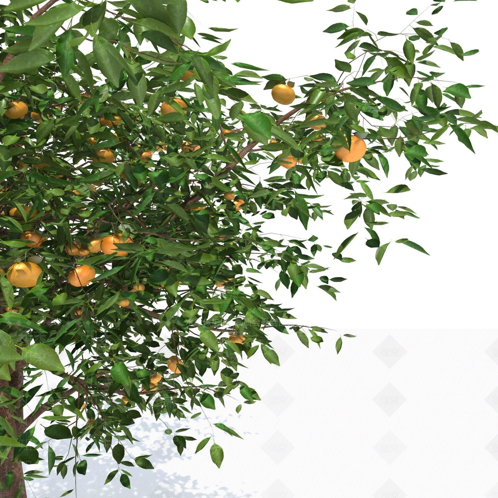 景观树3D模型下载【ID:1173304492】