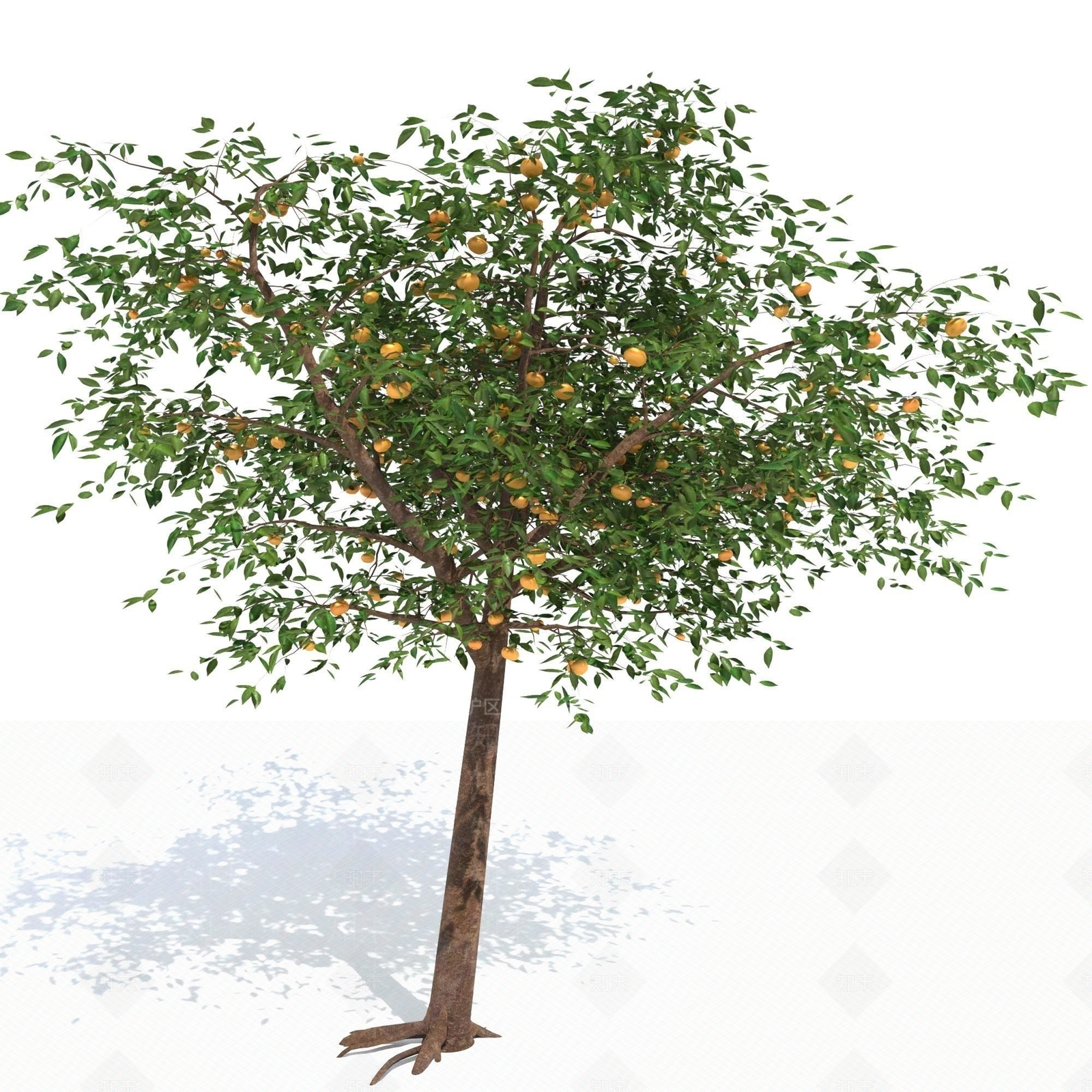 景观树3D模型下载【ID:1173304492】