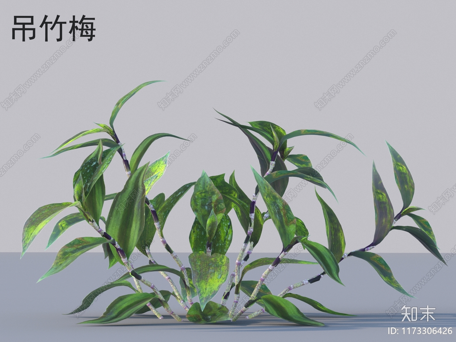 草3D模型下载【ID:1173306426】