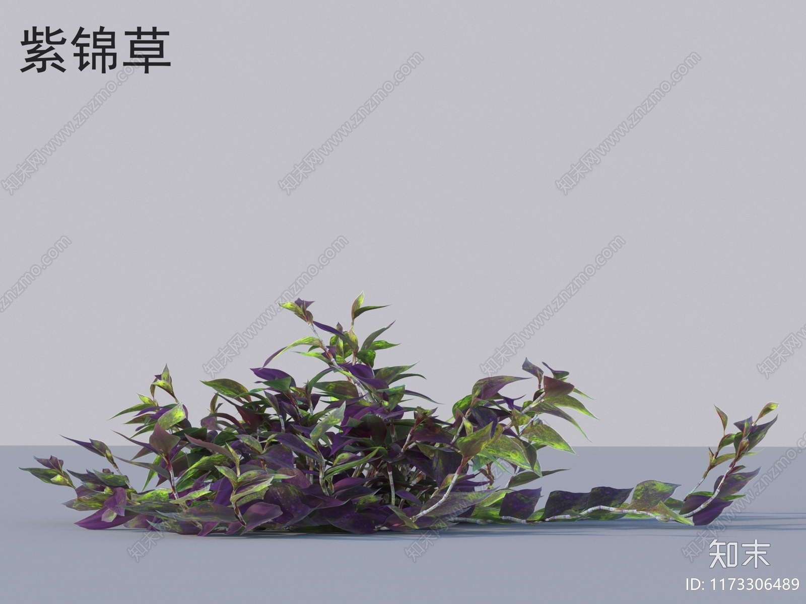 草3D模型下载【ID:1173306489】