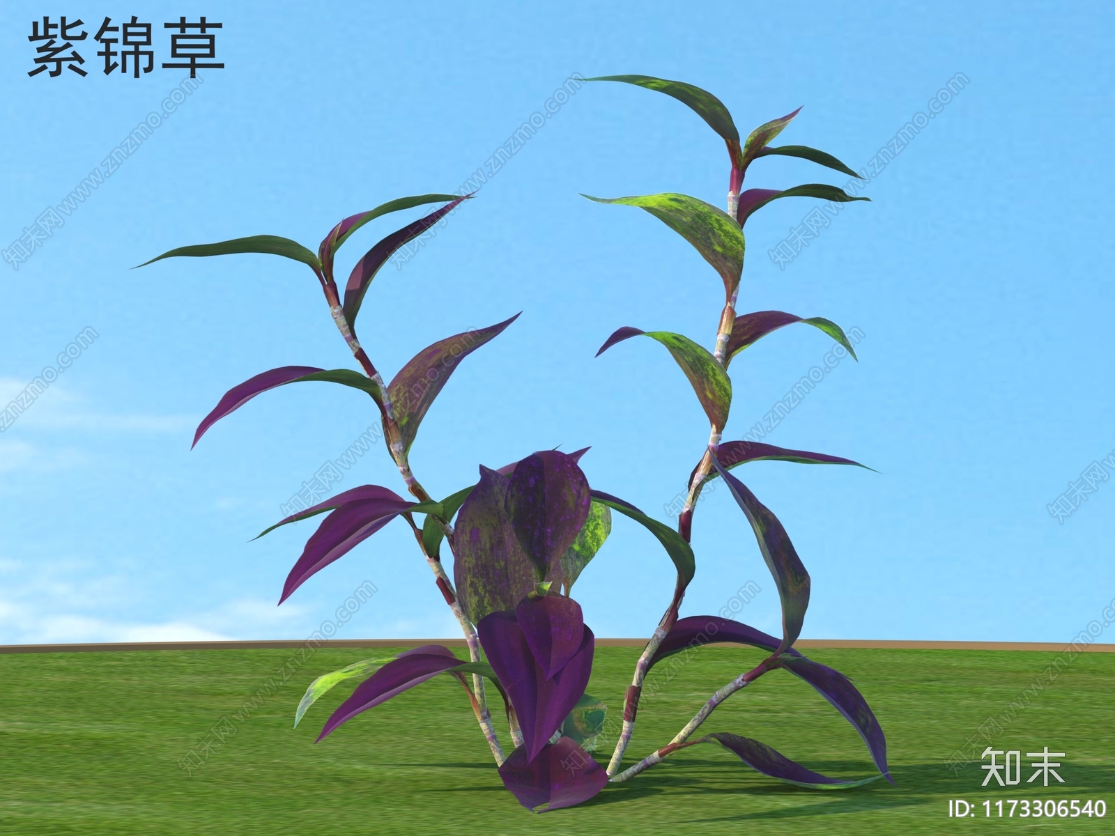 草3D模型下载【ID:1173306540】