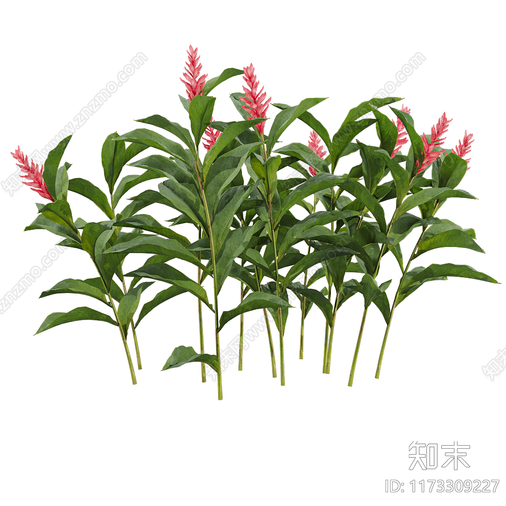 花草组合3D模型下载【ID:1173309227】