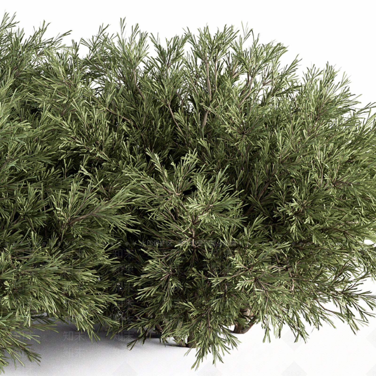 花坛3D模型下载【ID:1173387600】