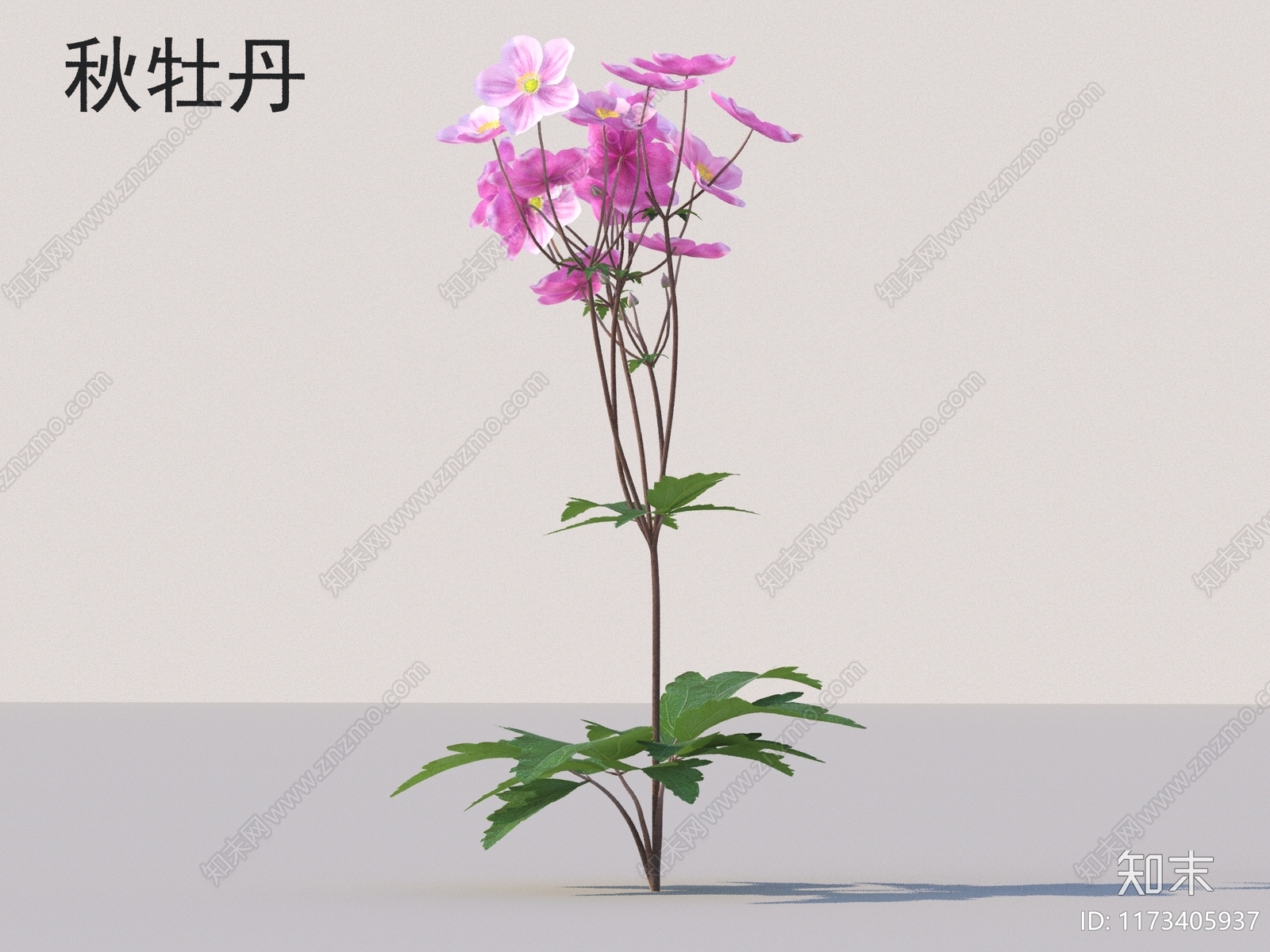 花3D模型下载【ID:1173405937】