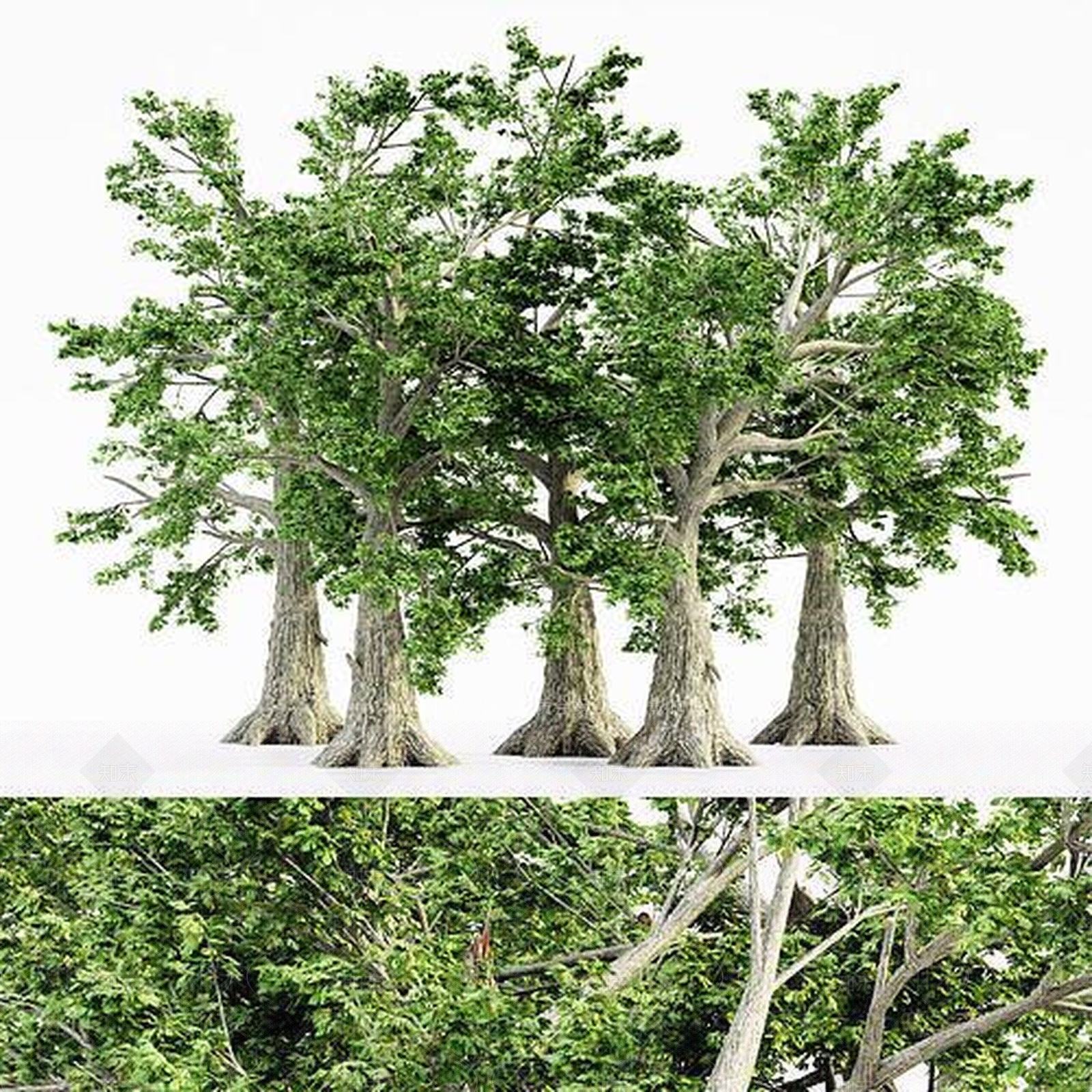 花3D模型下载【ID:1173407986】