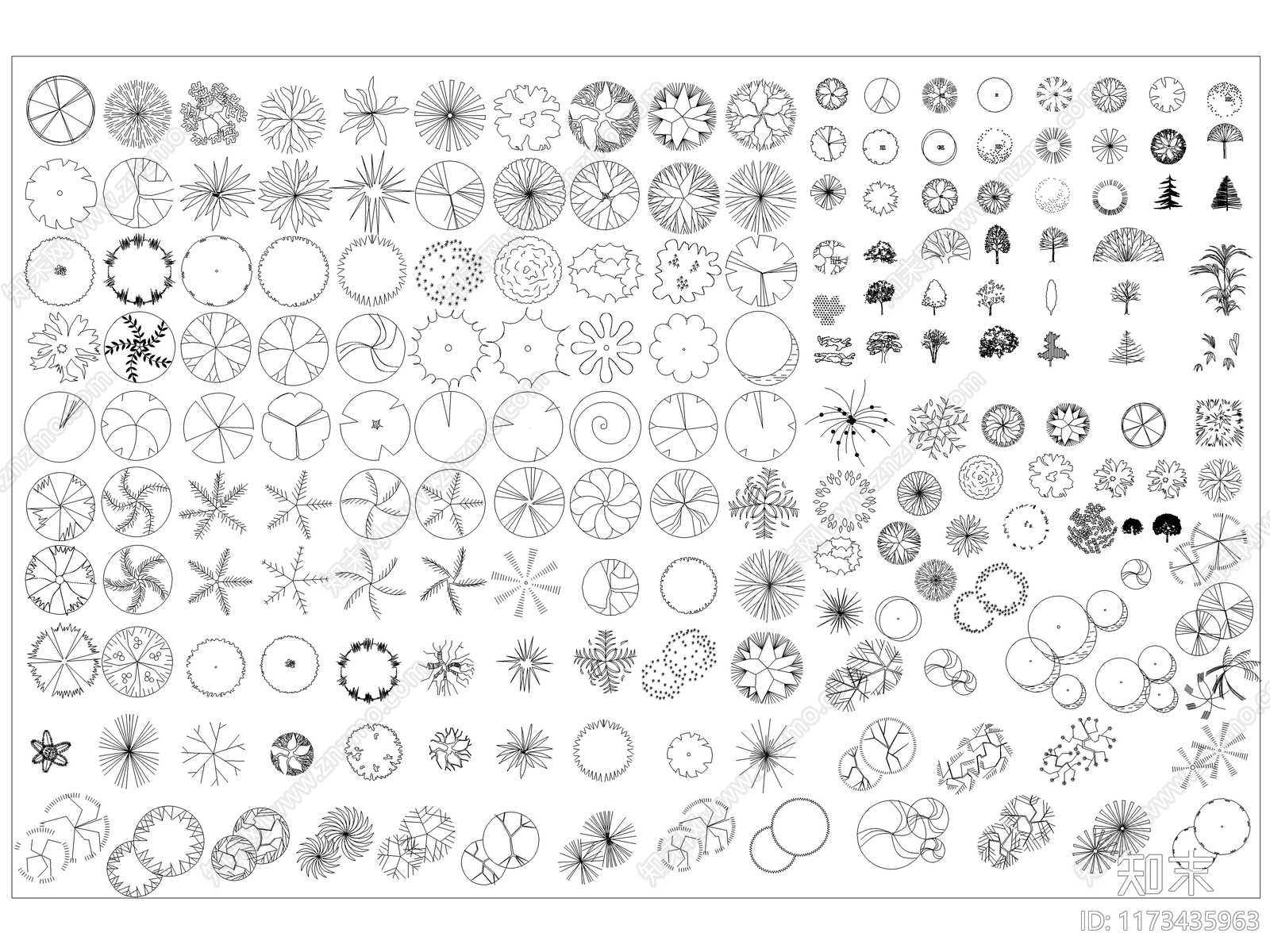 2024最新超全乔木灌木花草CAD图库施工图下载【ID:1173435963】