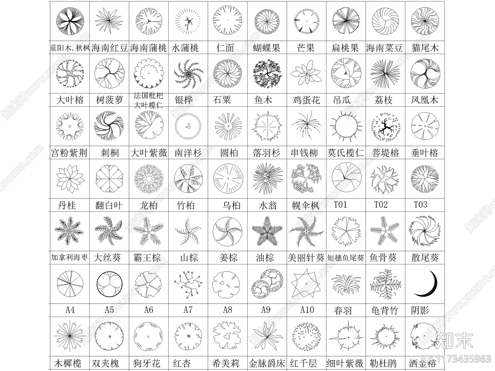 2024最新超全乔木灌木花草CAD图库施工图下载【ID:1173435963】