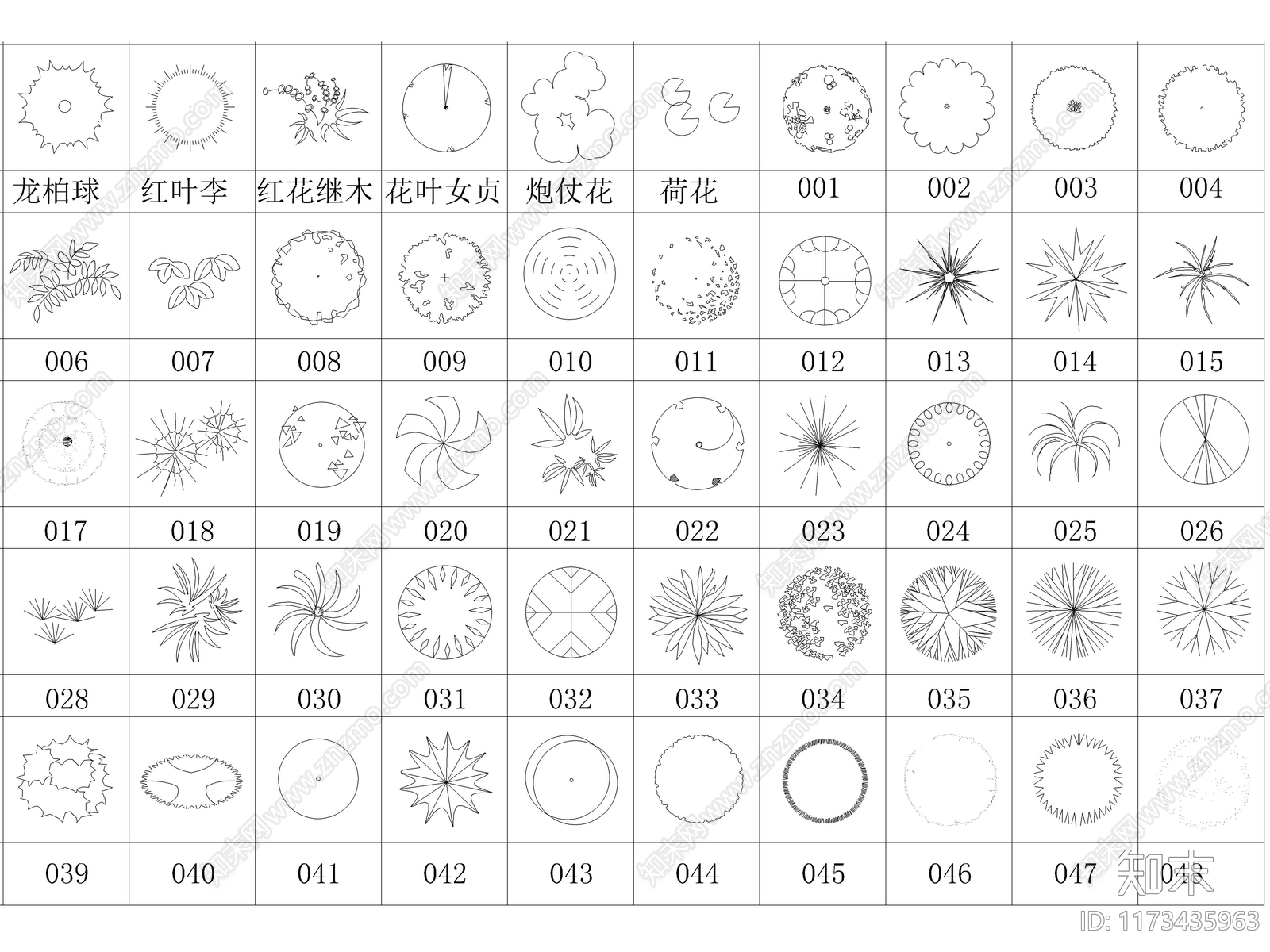 2024最新超全乔木灌木花草CAD图库施工图下载【ID:1173435963】