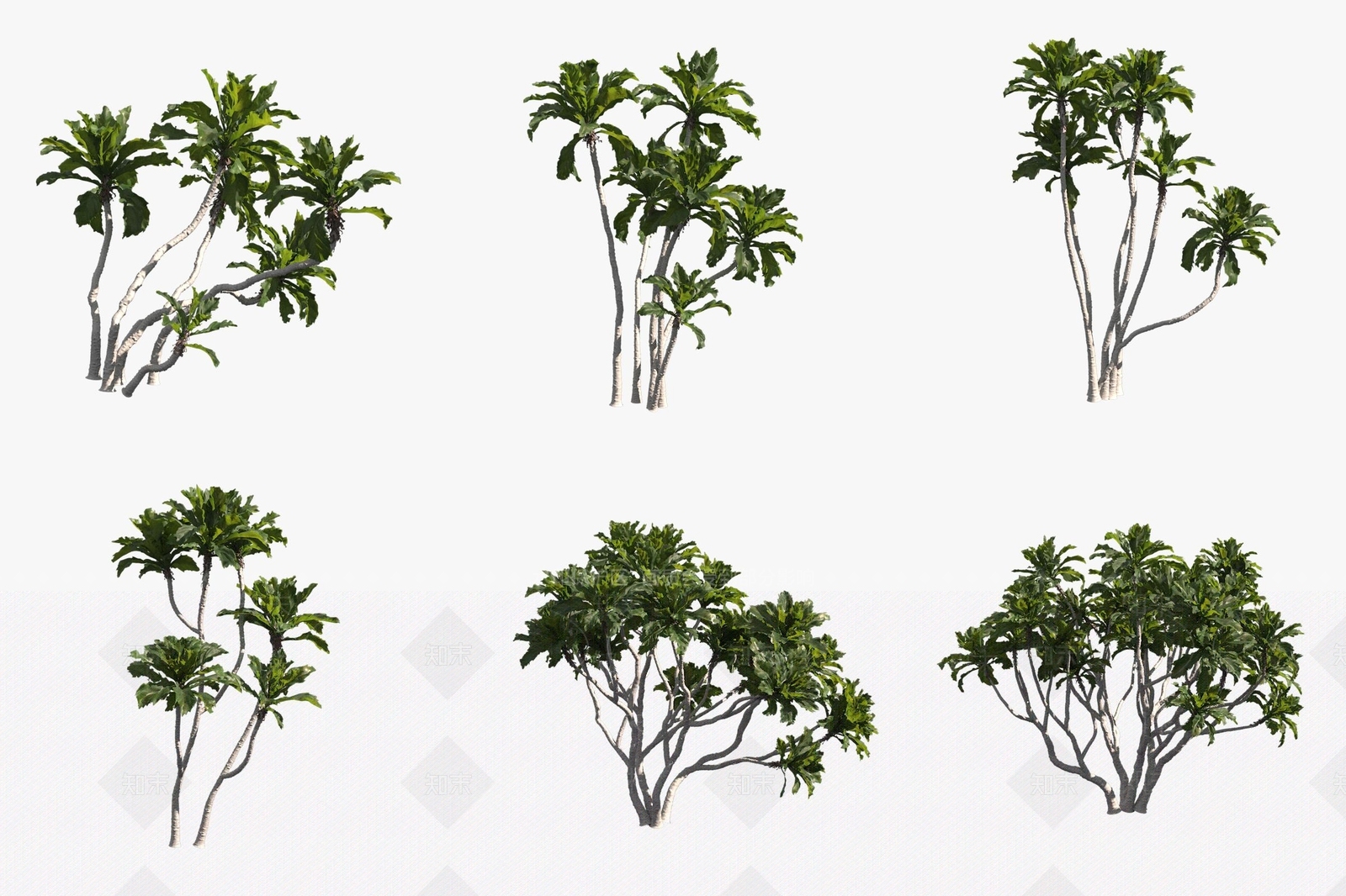 灌木3D模型下载【ID:1173440732】