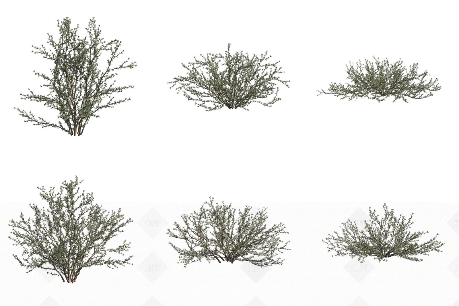 灌木3D模型下载【ID:1173443098】