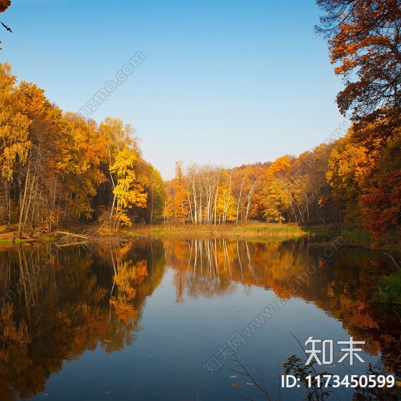 原木风景贴图下载【ID:1173450599】