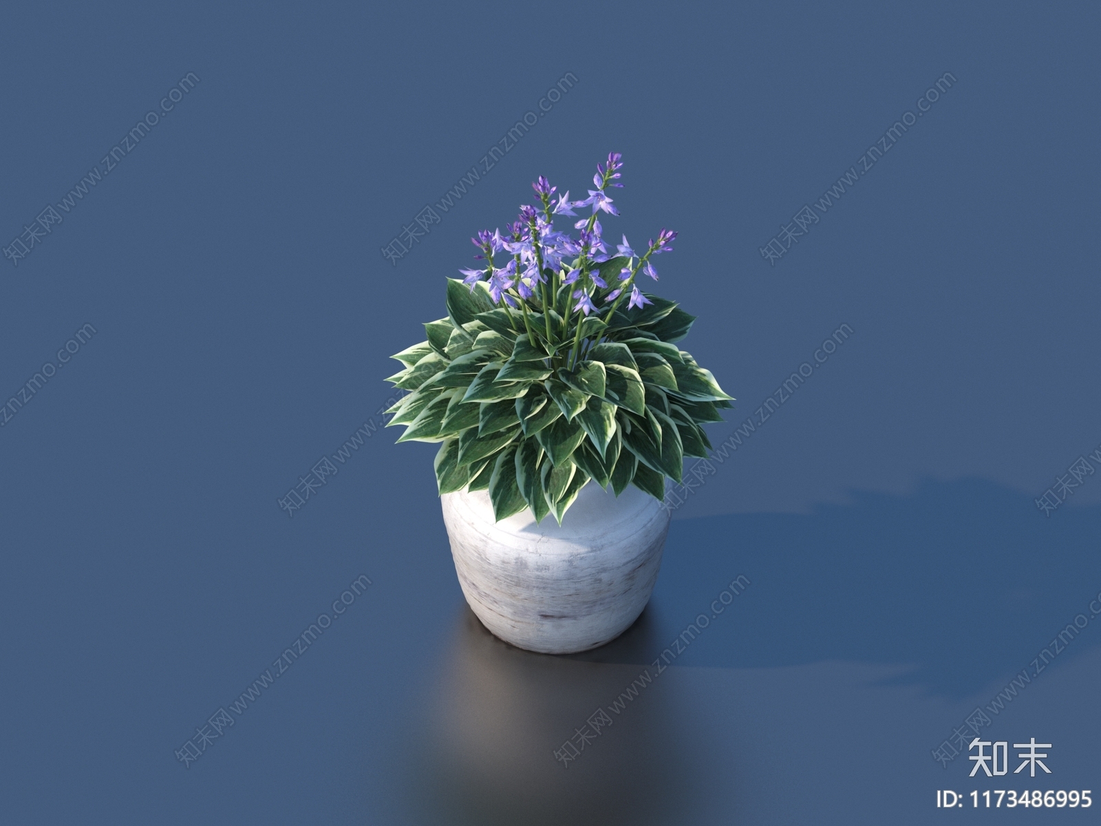 盆栽3D模型下载【ID:1173486995】