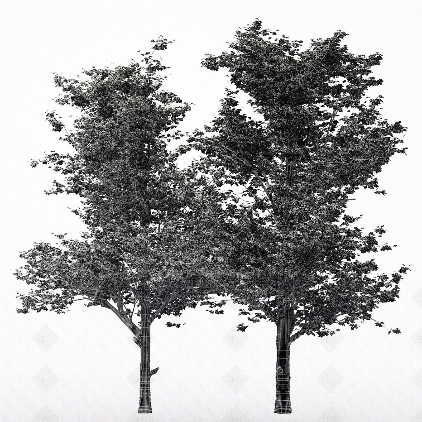 花3D模型下载【ID:1173497410】