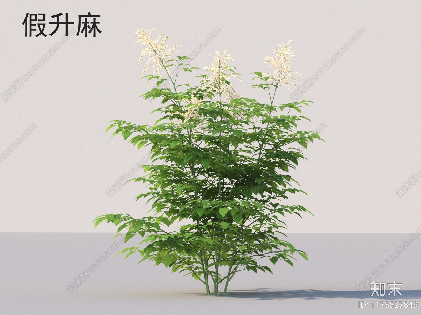 花草组合3D模型下载【ID:1173527849】