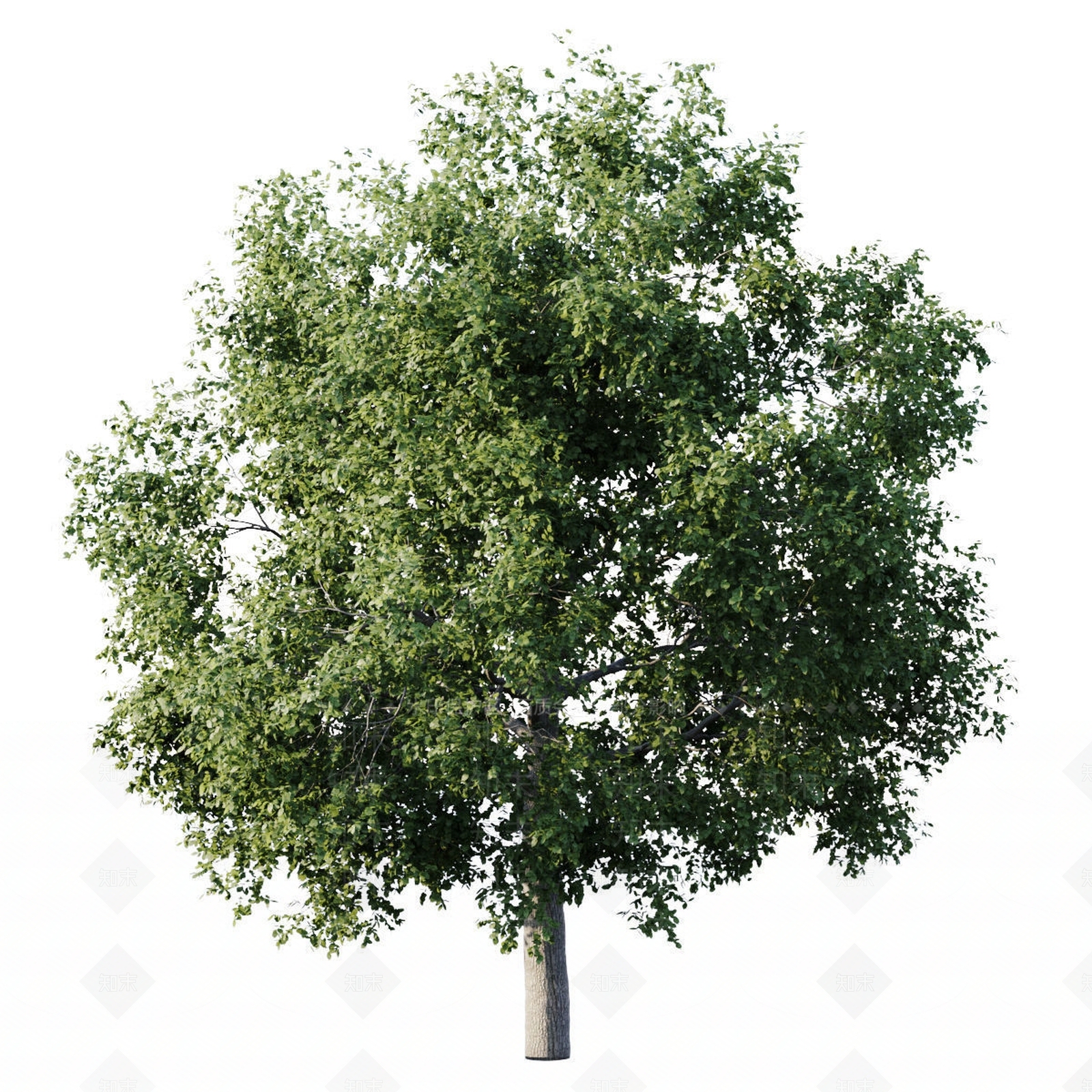 休闲椅3D模型下载【ID:1173527924】
