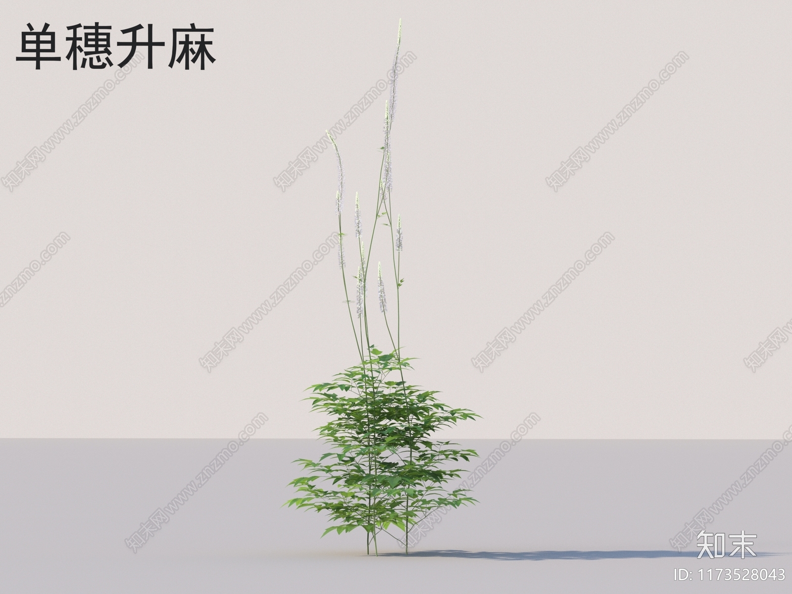 花3D模型下载【ID:1173528043】