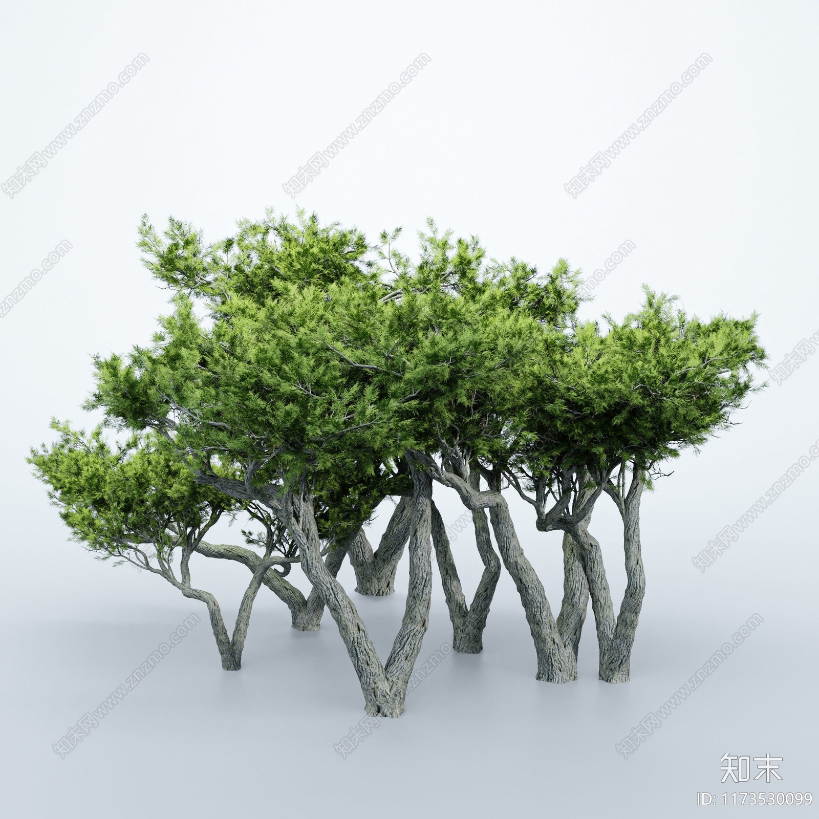 景观树3D模型下载【ID:1173530099】