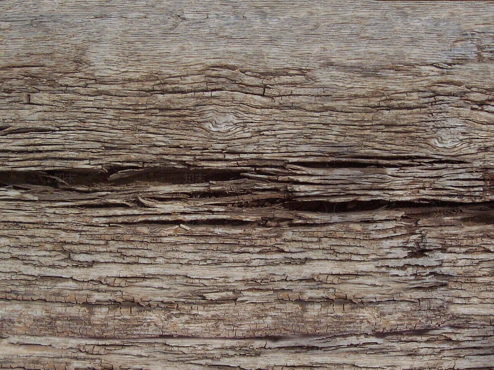 原木树皮贴图下载【ID:1173559672】