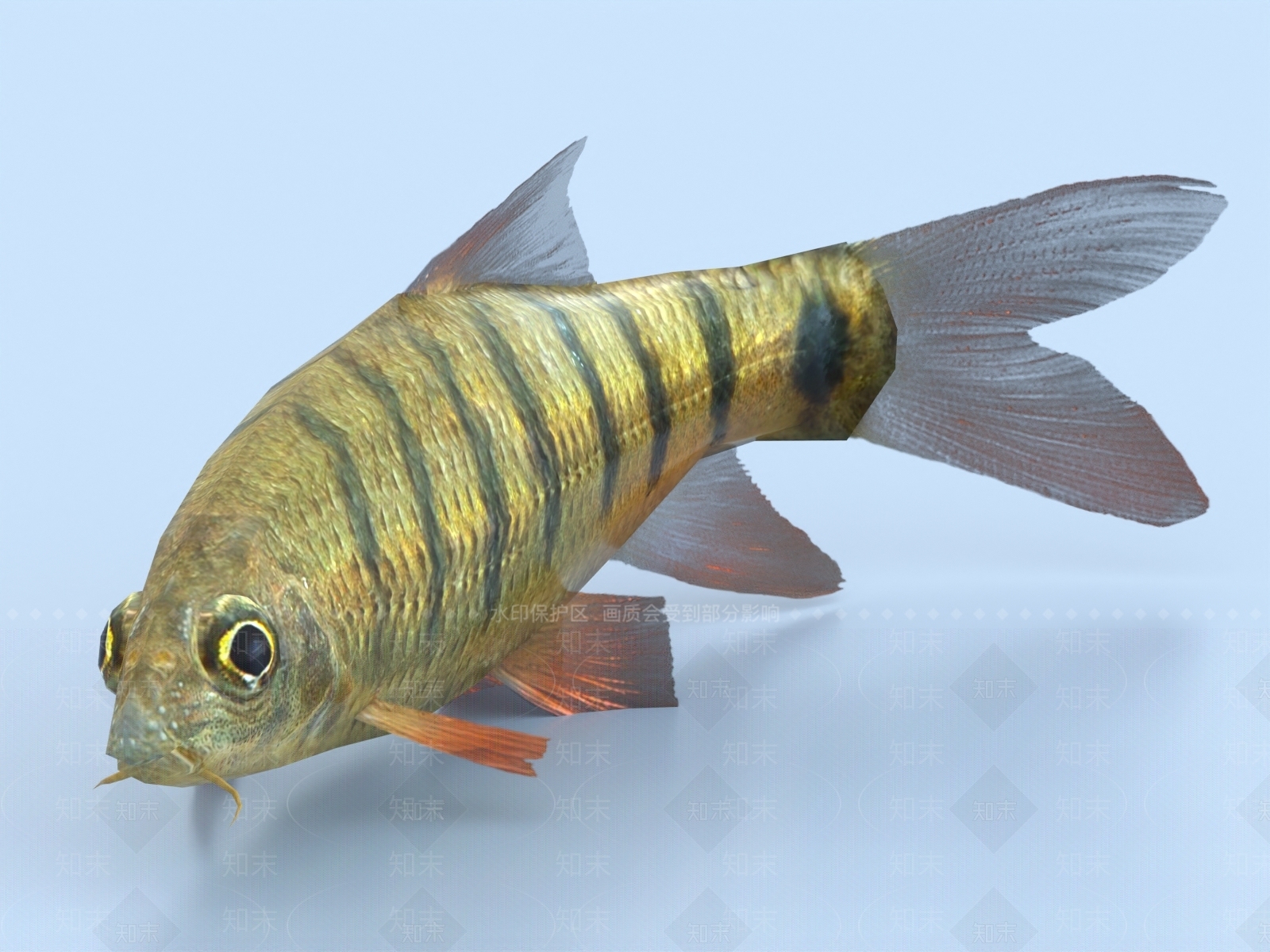 水生类动物3D模型下载【ID:1173594961】
