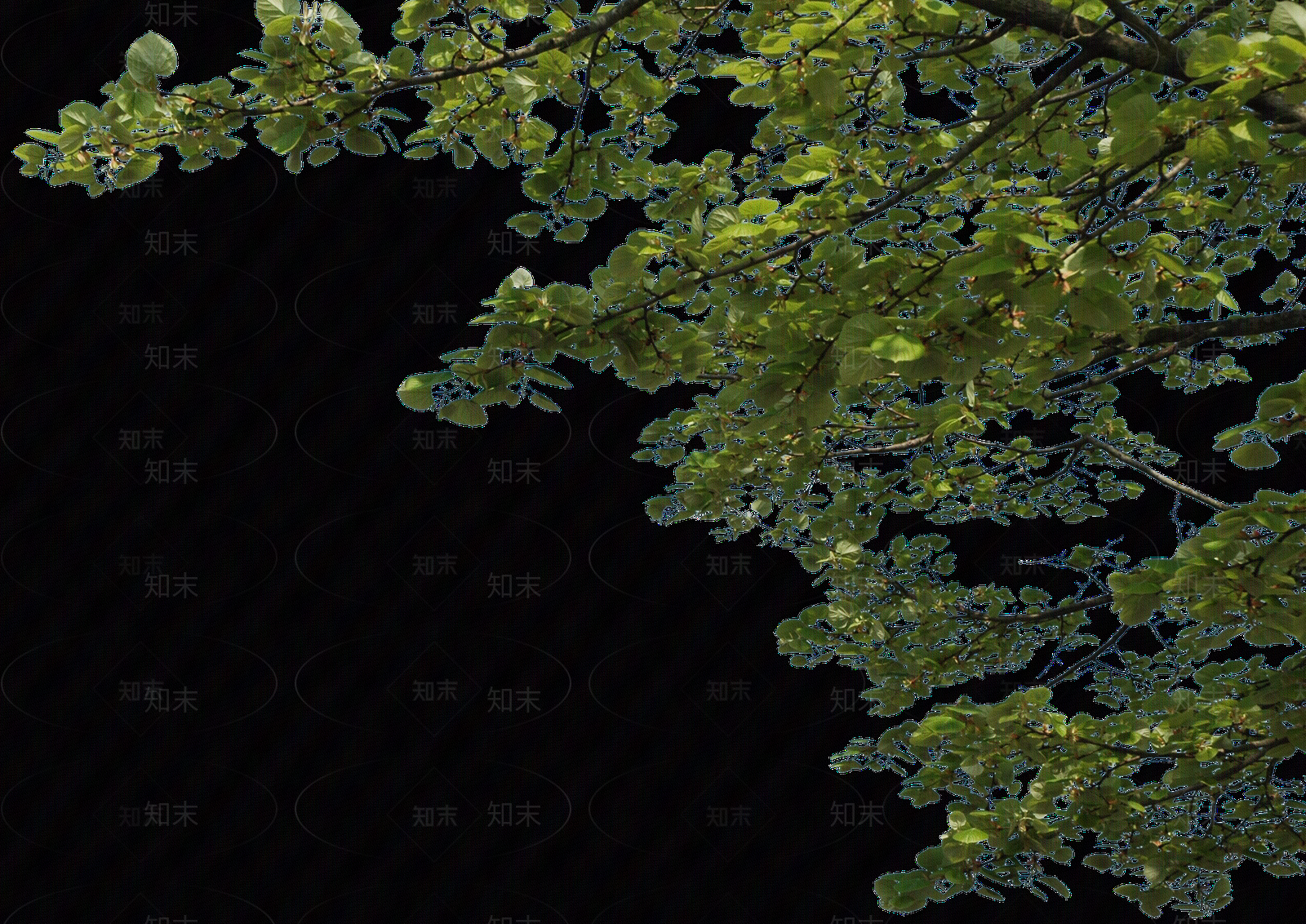 现代外立面贴图下载【ID:1173613349】