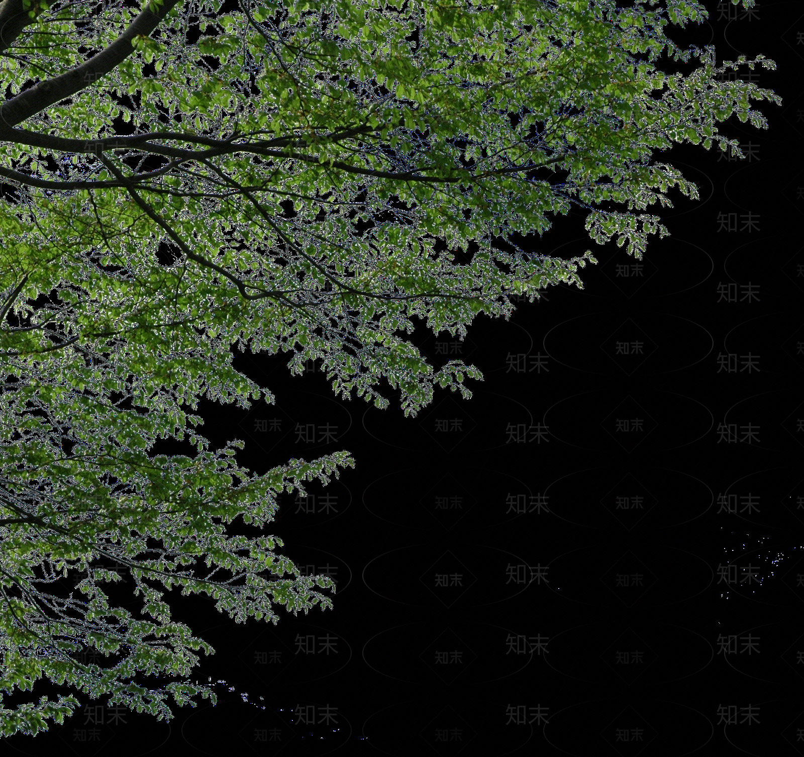 现代外立面贴图下载【ID:1173613570】