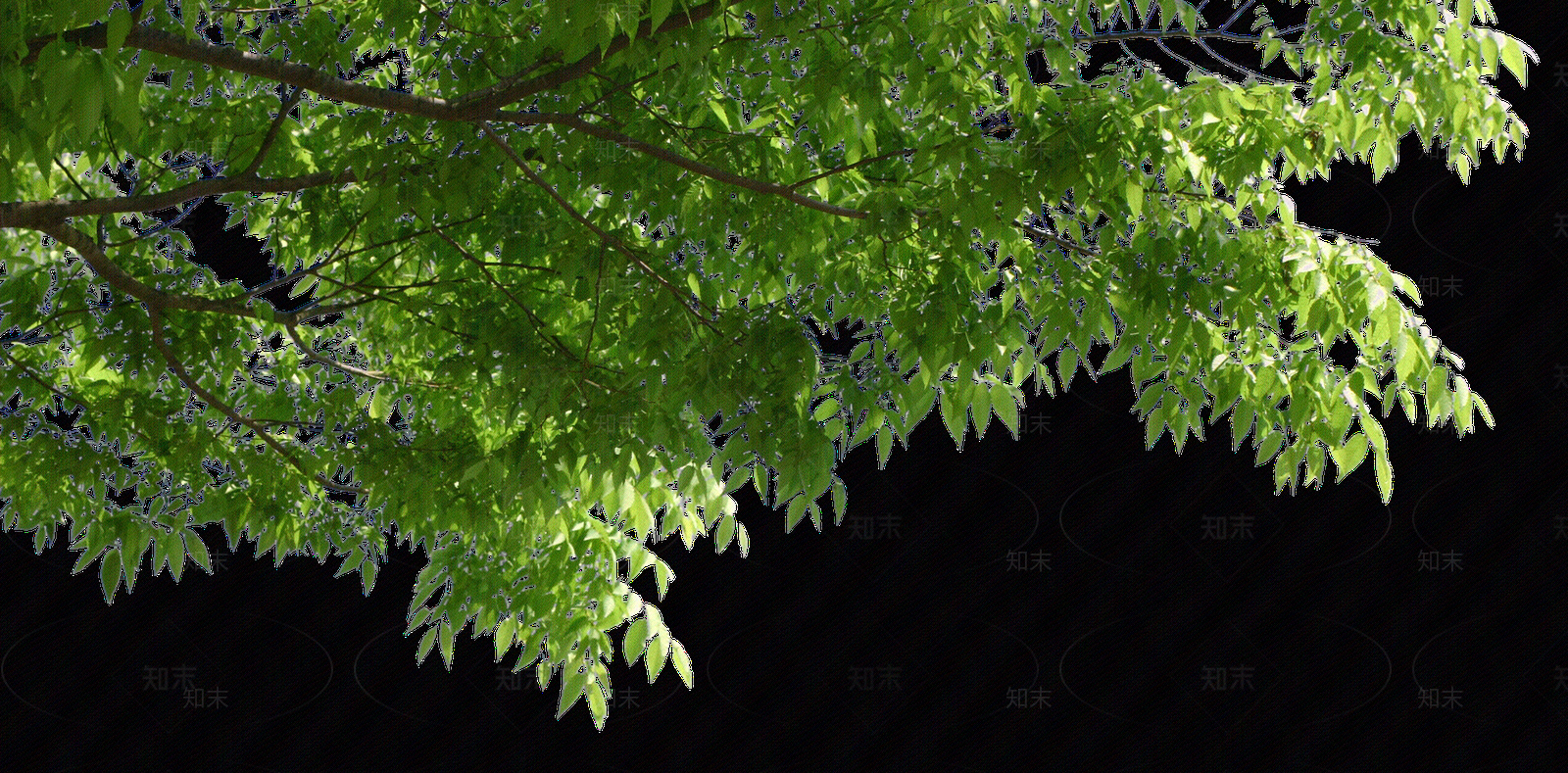 现代外立面贴图下载【ID:1173613616】