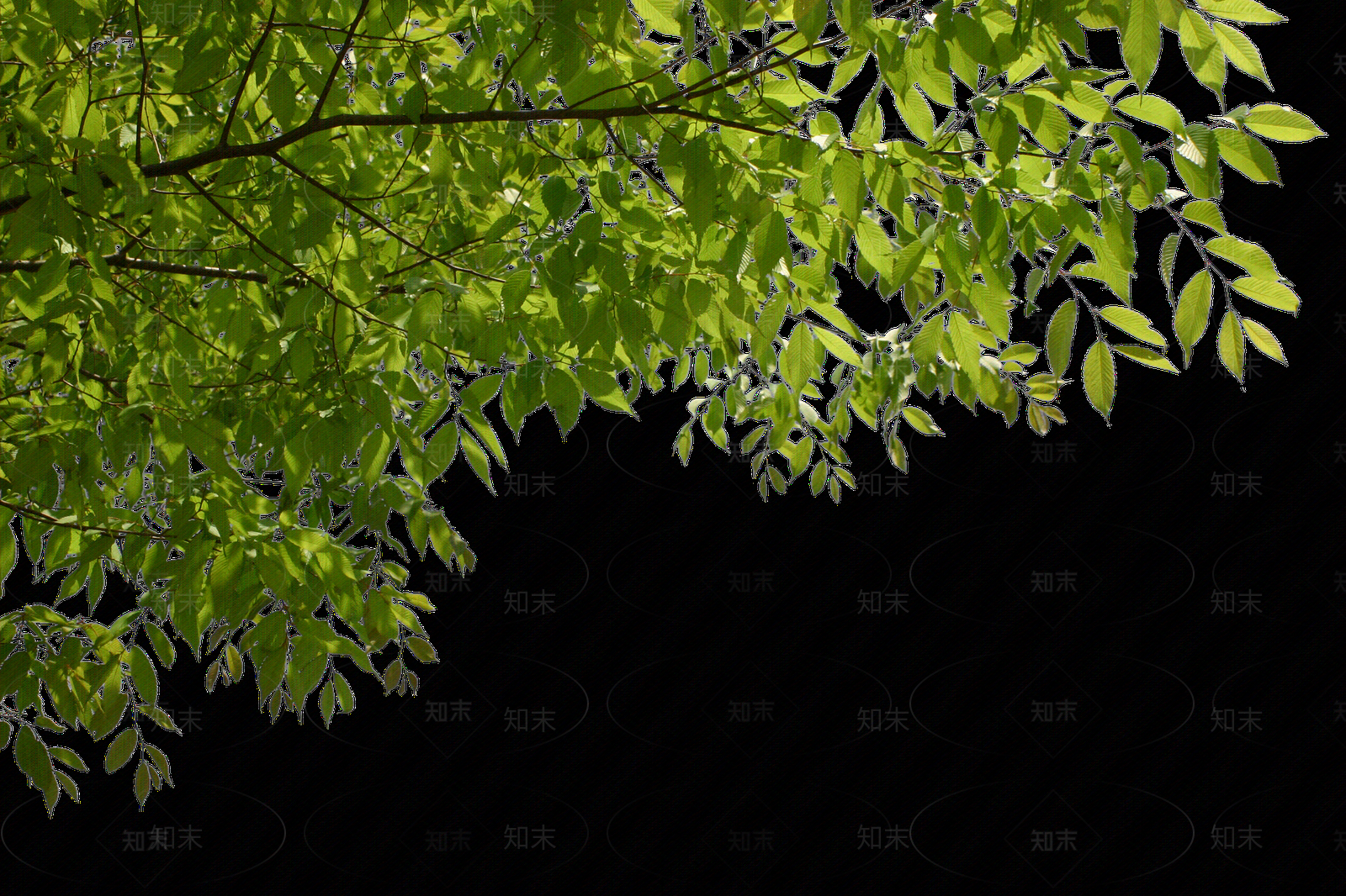 现代外立面贴图下载【ID:1173613720】